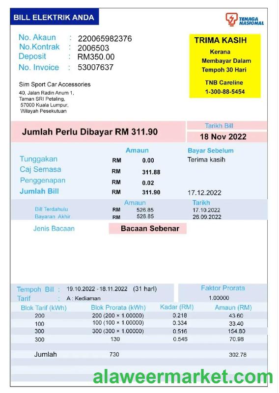 INDIA TENAGA NASIONAL utility bill Word and PDF template
